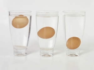 Three glasses of water containing eggs, each egg at different level in the glass (sink or float egg freshness test)